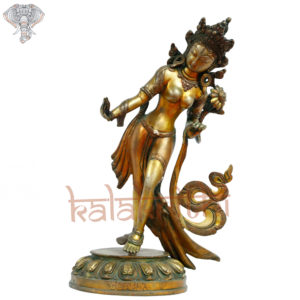 Photo of Unique designed Tara Devi in Slanting position - Facing Front