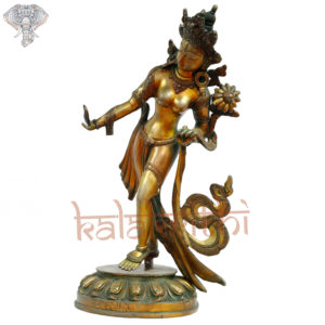 Photo of Unique designed Tara Devi in Slanting position - facing Right side