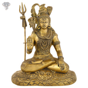 Photo of Lord Shiva with blessing hands-10"-Facing Front