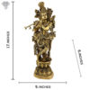 Photo of Shining Standing Krishna Statue with flute-17"-with Measurements