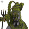 Photo of Beautiful Blessing Shiva with Unique Black Shining Look-15"-zoomed in
