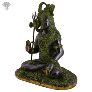 Photo of Beautiful Blessing Shiva with Unique Black Shining Look-15"-facing Right side