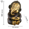 Photo of Cute Kid Ganesh with Black shiny Finishing-8"-with measurements