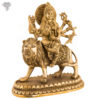 Photo of Durga mata sitting on Lion - facing Right side