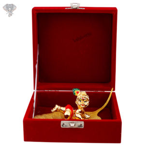 Photo of Bala Krishna on Leaf - Red, 24K Gold - Placed In Box
