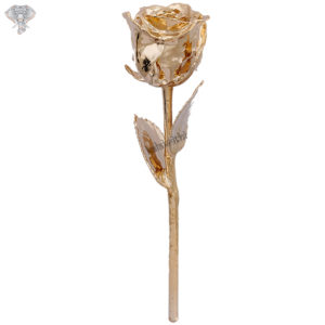 Photo of Solid 24K Gold Plated Rose - 11 inches Available in velvet box - Facing Front