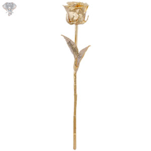 Photo of Solid 24K Gold Plated Rose - 6 inches Available in velvet box - Facing Front